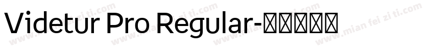 Videtur Pro Regular字体转换